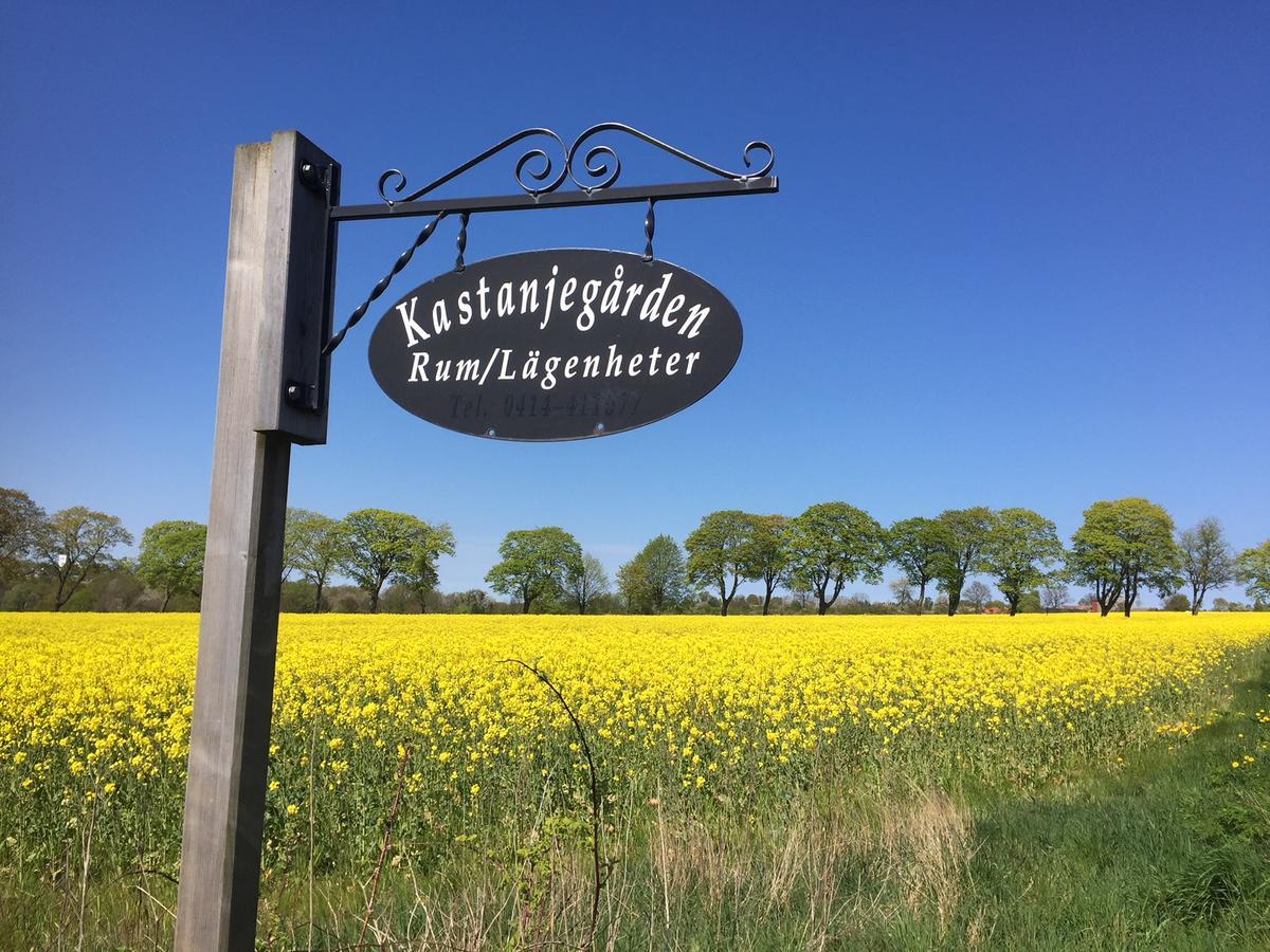 Kastanjegarden Pa Stenshuvud 奇维克 外观 照片