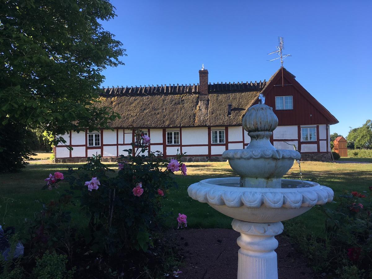 Kastanjegarden Pa Stenshuvud 奇维克 外观 照片