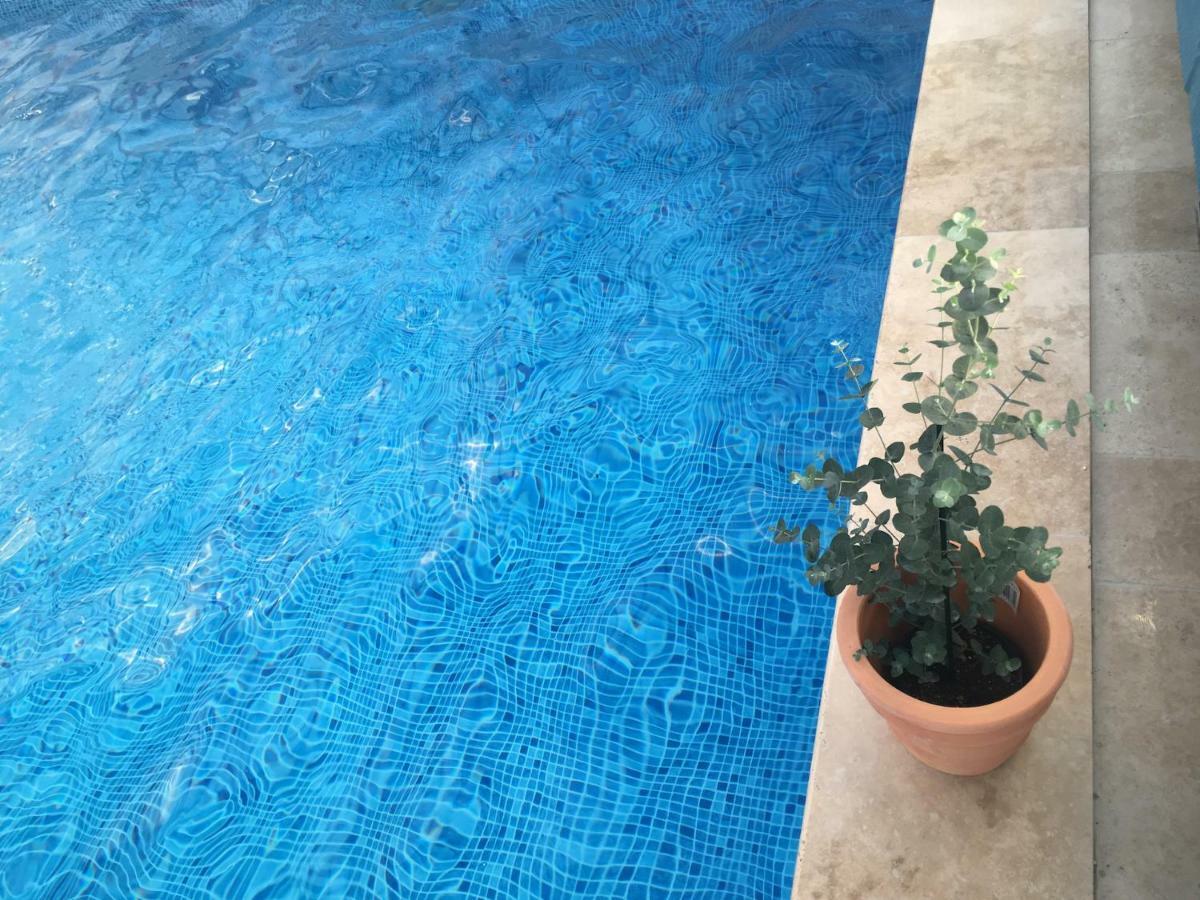 Kastanjegarden Pa Stenshuvud 奇维克 外观 照片
